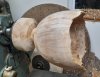 Arun Radysh Haasis: Woodturning (11)