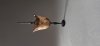 Gary Lowe: Woodturning