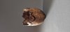 Gary Lowe: Woodturning (4)