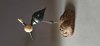 Gary Lowe: Woodturning (11)