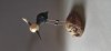 Gary Lowe: Woodturning (12)