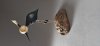 Gary Lowe: Woodturning (13)
