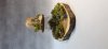 Gary Lowe: Woodturning