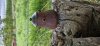 Gary Lowe: Woodturning (3)