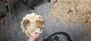 Gary Lowe: woodturning (6)