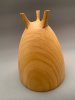 Graham Brooks: Woodturning (6)