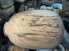 Phil Irons: Woodturning (4)